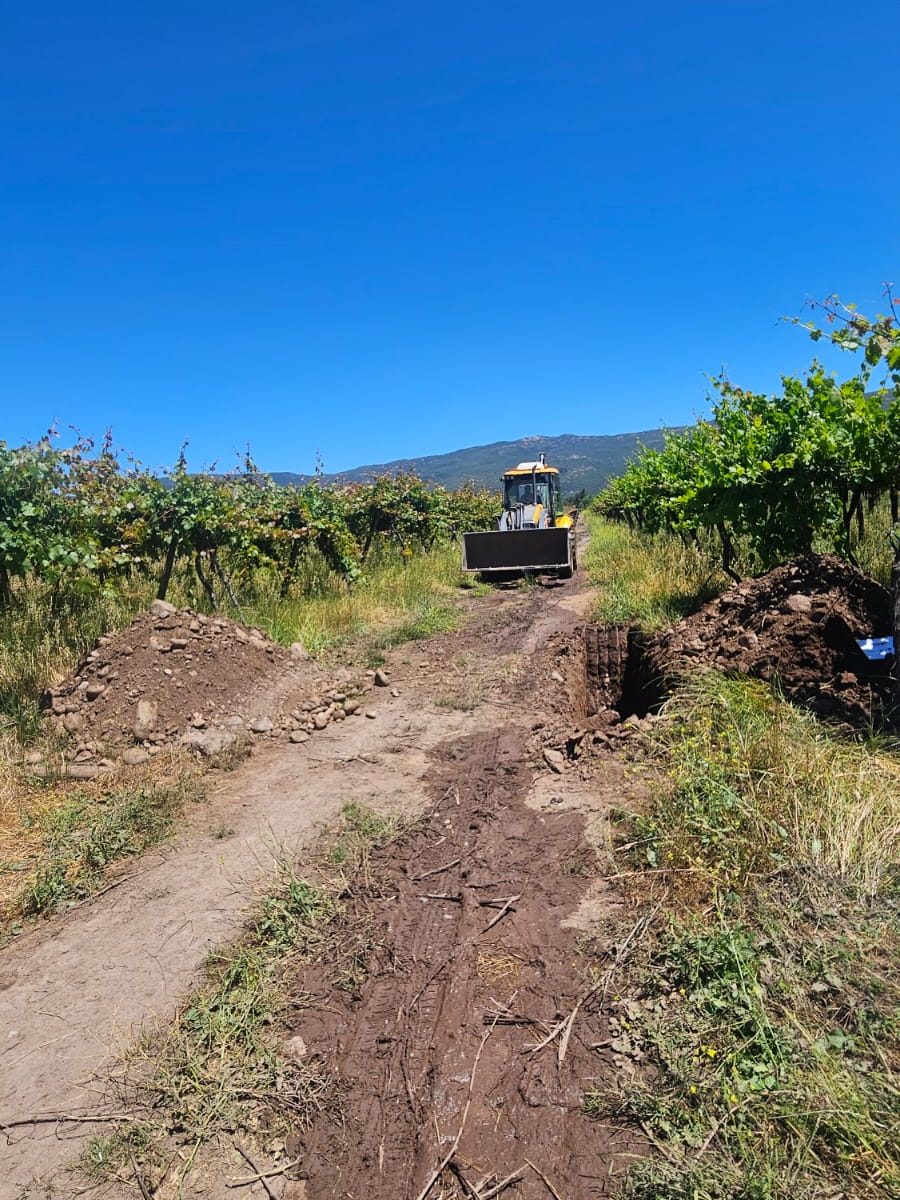 Trabajo en terreno de Tatasi en la Región de O'Higgins