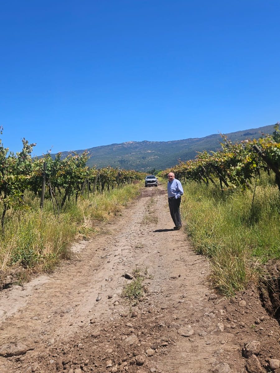 Trabajo en terreno de Tatasi en la Región de O'Higgins
