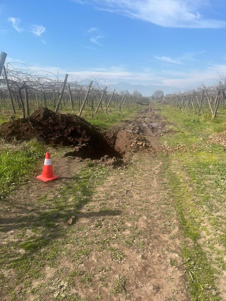 Trabajo en terreno de Tatasi en la Región de O'Higgins